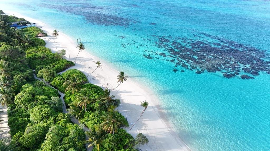 Beach of Thoddoo